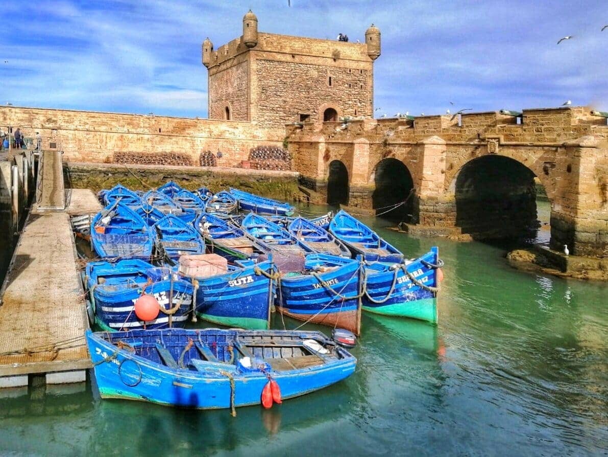 day trips from marrakesh
