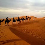 Desert Tours