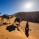 Sahara Desert from fes, City Tours, tour guide fes