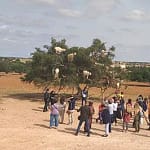morocco tours