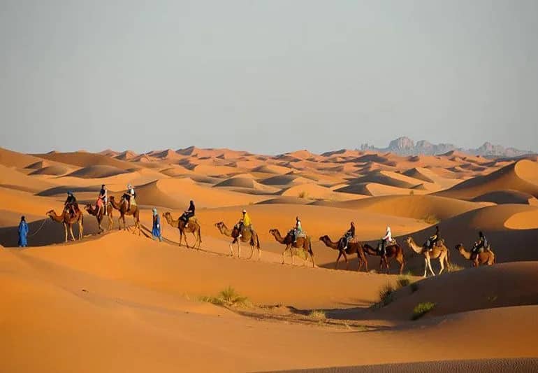 sahara desert tour