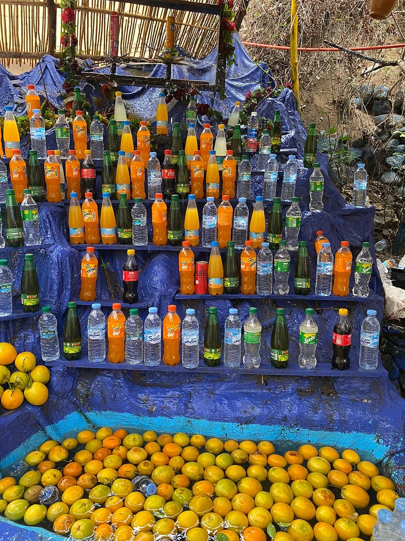 day trip from marrakesh to ourika valley