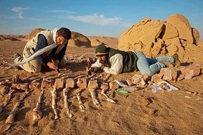14 Days Morocco Fossil Tours