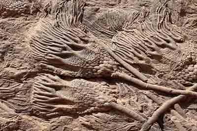 8 Days Geological And Mineral Fossil Tours From Ouarzazate